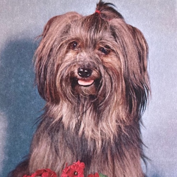 Floral Print Pullover Sweater 🆕 - Picture 9 of 9